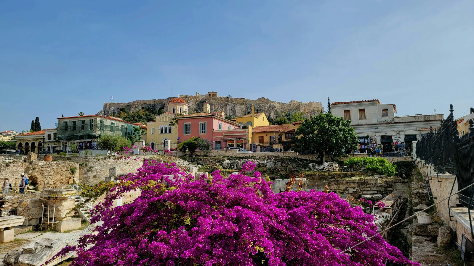 spring wildflowers at Ancient Agora Athens visited by car